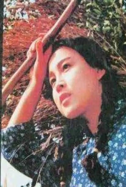 《部落性冲突》：揭秘街头黑帮的残酷真相，一场关于生存与忠诚的血腥搏杀！