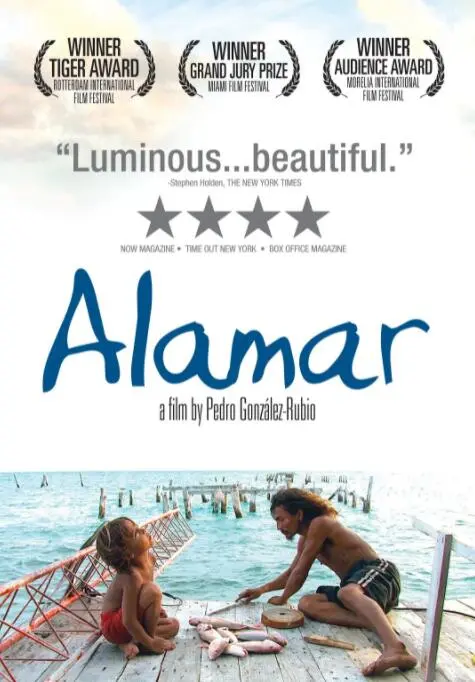 《拥抱大海》：平凡人生中的微光闪烁，回归内心的勇气与力量