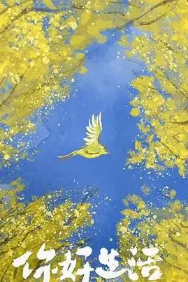 《你好生活第四季》：重拾日常温情，探寻平凡生活中的治愈力量与真挚情感