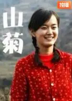 《山菊》：镜头下的乡愁与坚韧，一曲普通人生命的赞歌