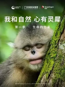 《我和自然 心有灵犀》第一季：生命的力量太震撼！看完坑爹伙伴们都弱爆了！