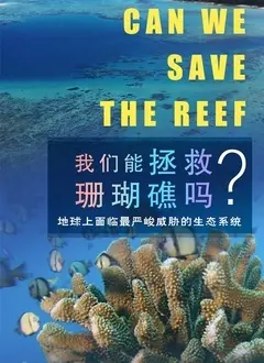《我们能拯救珊瑚礁吗》：一场奇幻的海洋求生记，环保主题直击灵魂！